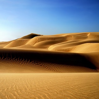 medanos de coro.jpg